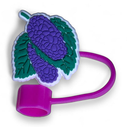 Fun Colorful Fruit Reusable Straw Toppers for Cups and Tumblers